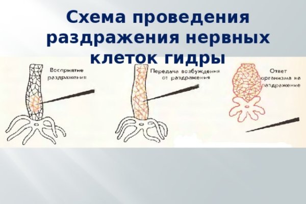 Kraken 4 ссылка kr2web in