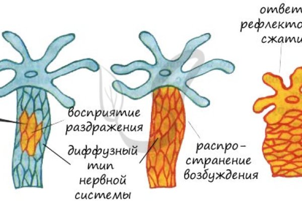 Кракен ссылка 2 веб